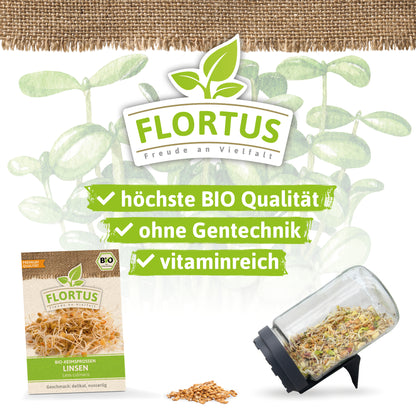  BIO Keimsprossen Linse