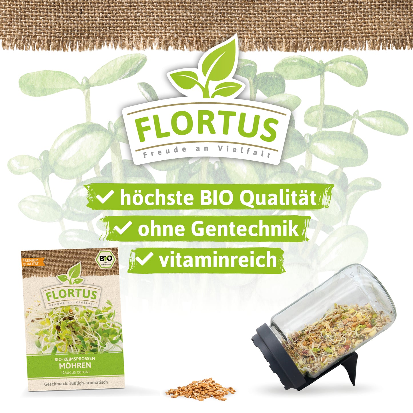  BIO Keimsprossen Möhre