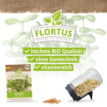  BIO Keimsprossen Rotkohl