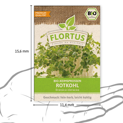 BIO Keimsprossen Rotkohl