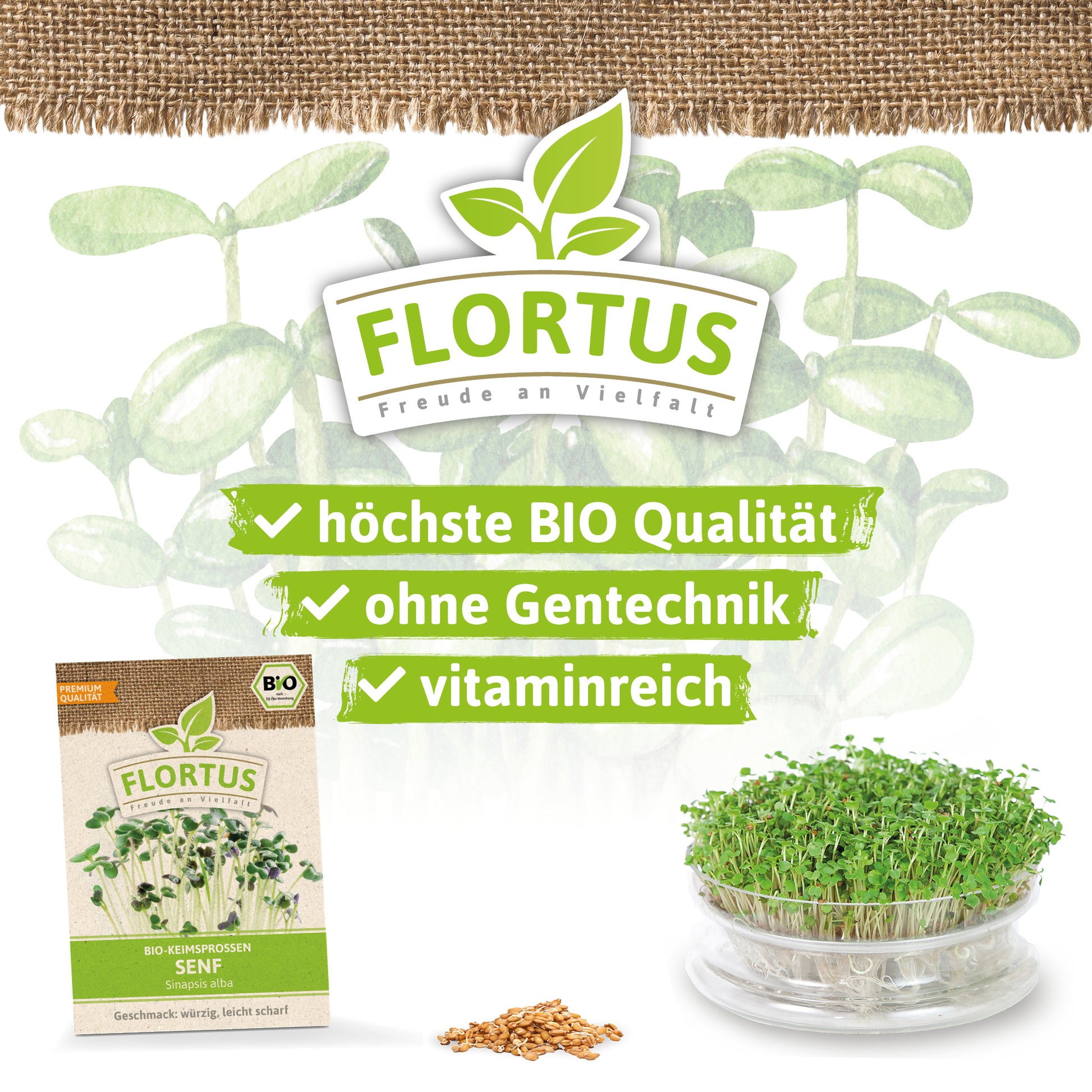  BIO Keimsprossen Senf