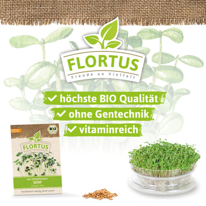  BIO Keimsprossen Senf