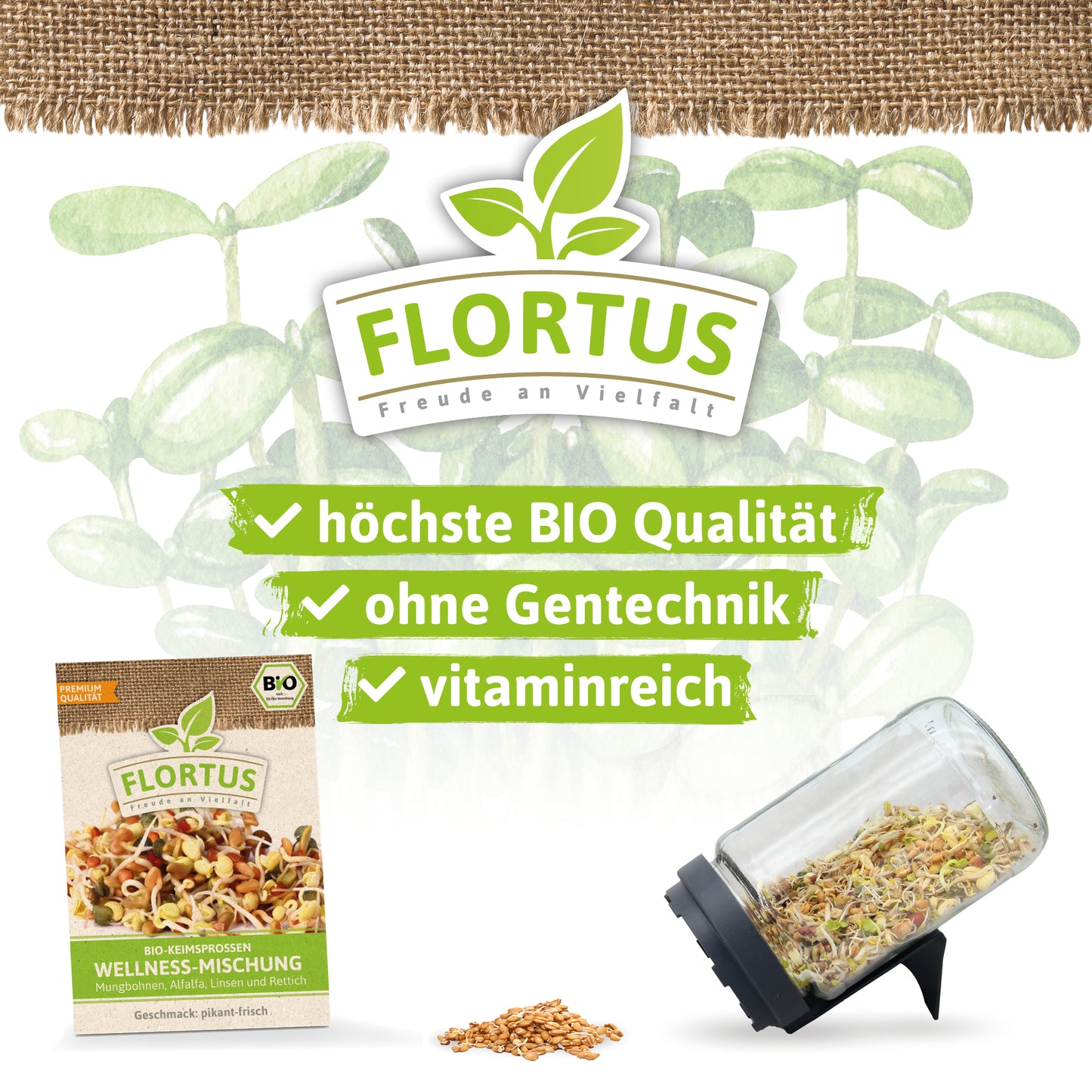  BIO Keimsprossen Wellness-Mischung (Mungbohnen, Alfalfa, Linsen Und Rettich)