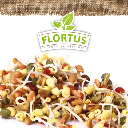  BIO Keimsprossen Wellness-Mischung (Mungbohnen, Alfalfa, Linsen Und Rettich)