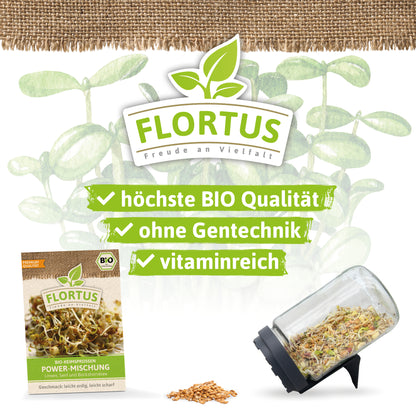  BIO Keimsprossen Power-Mischung (Linsen, Senf Und Bockshornklee)