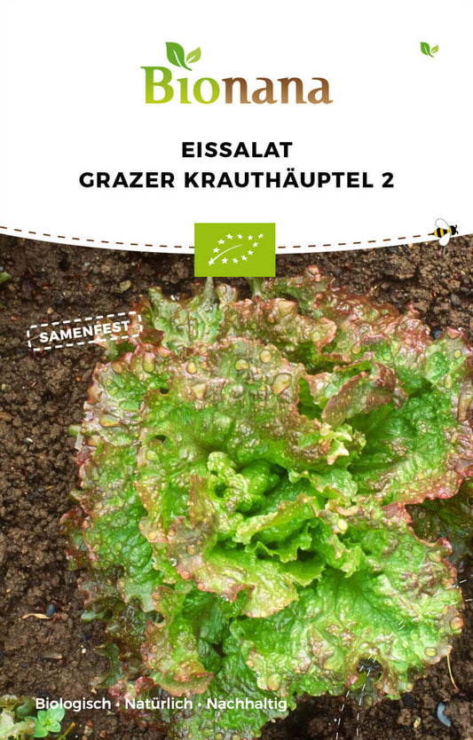  BIO Eissalat Grazer Krauthäuptel