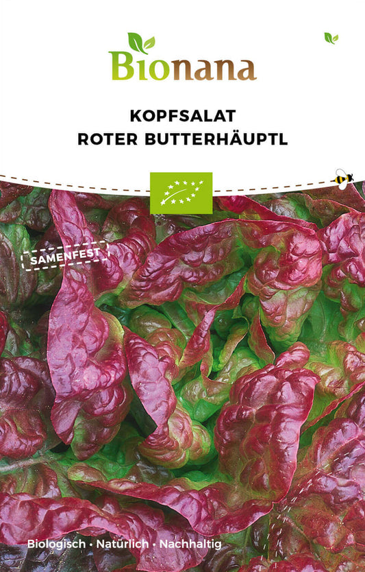  BIO Kopfsalat Roter Butterhäuptel