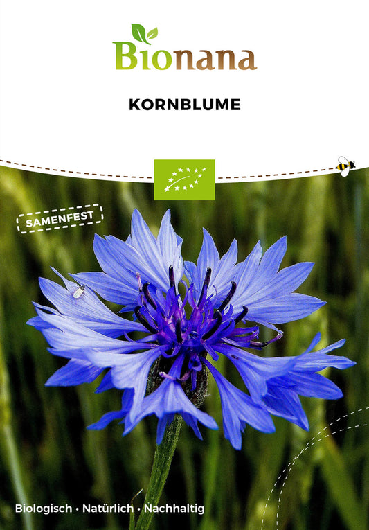  BIO Kornblume