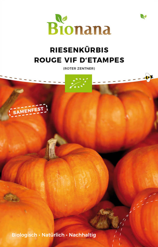  BIO Kürbis Roter Zentner