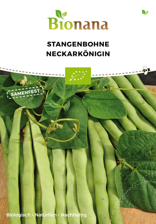  BIO Stangenbohne Neckarkönigin