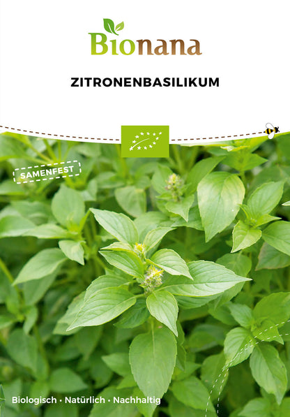  BIO Zitronenbasilikum [MHD 12/2025]