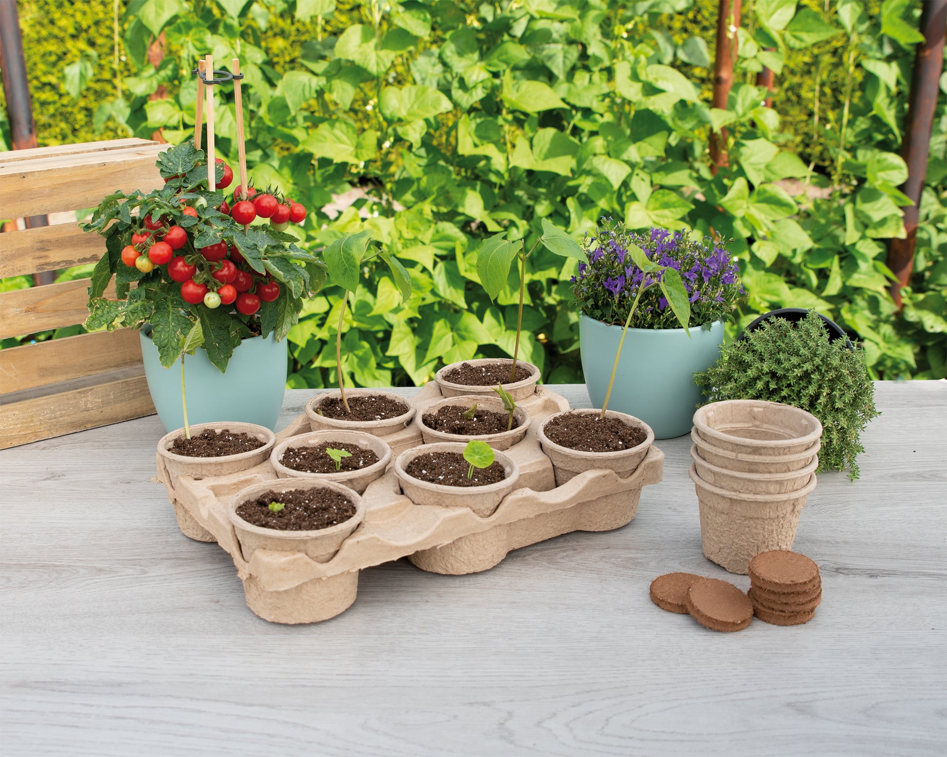  Eco Topfplatte