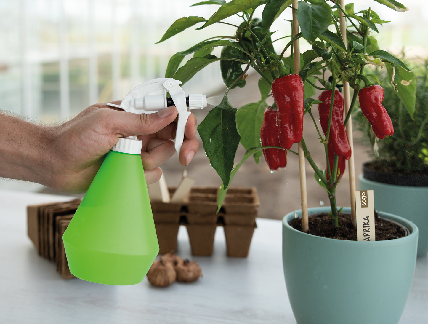  Wasserzerstäuber (0,5 L)