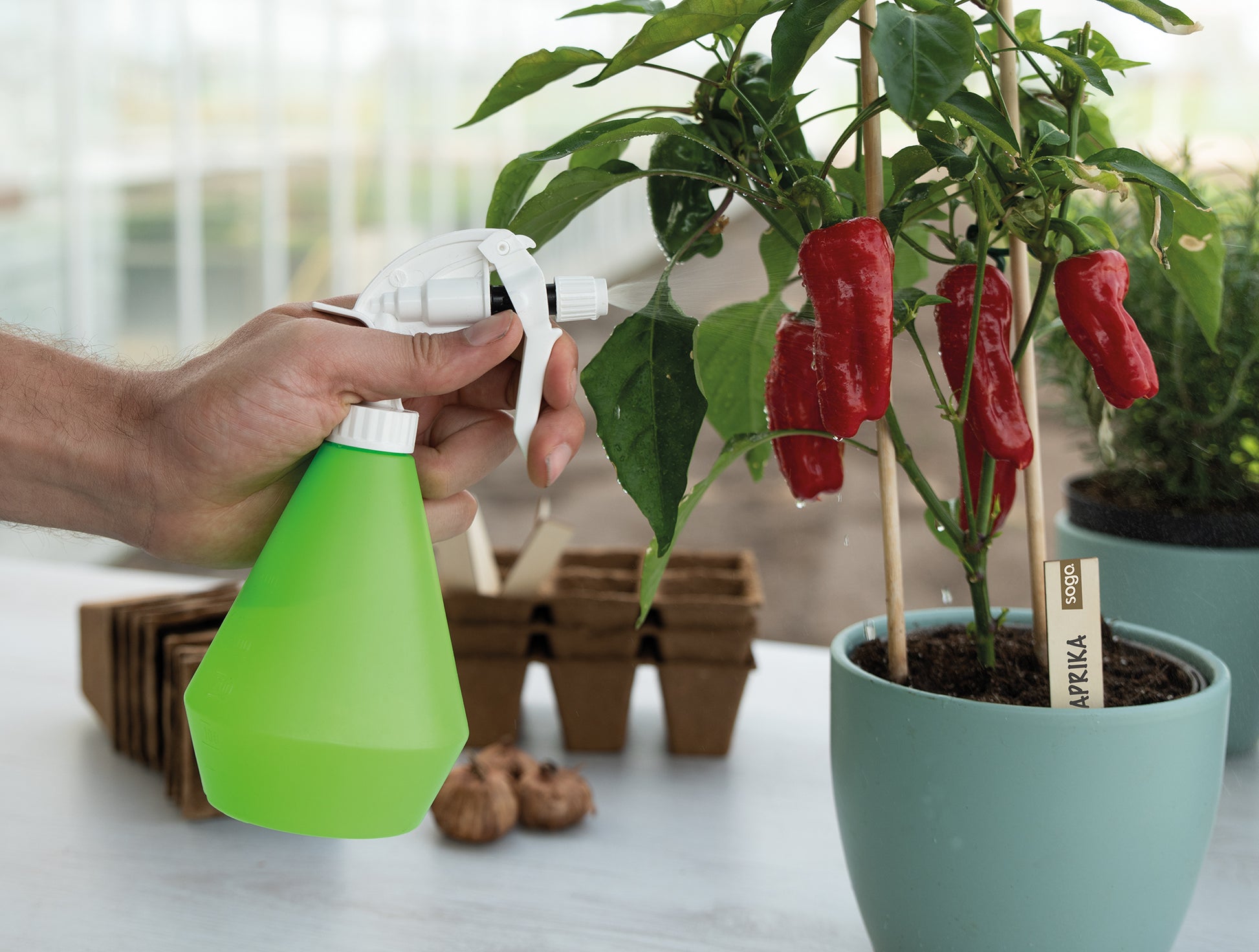  Wasserzerstäuber (0,5 L)