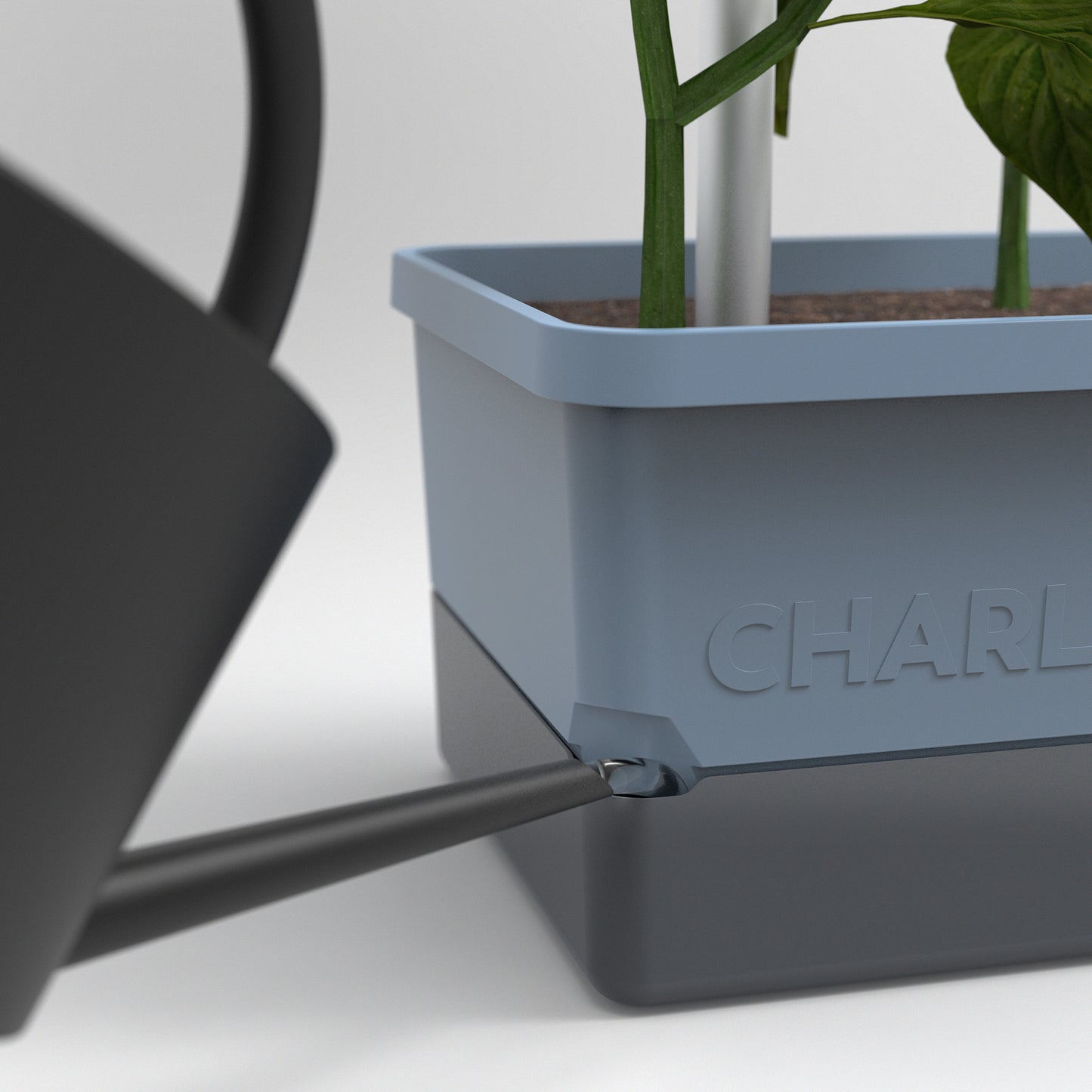  CHARLY CHILI Chilitopf Blau