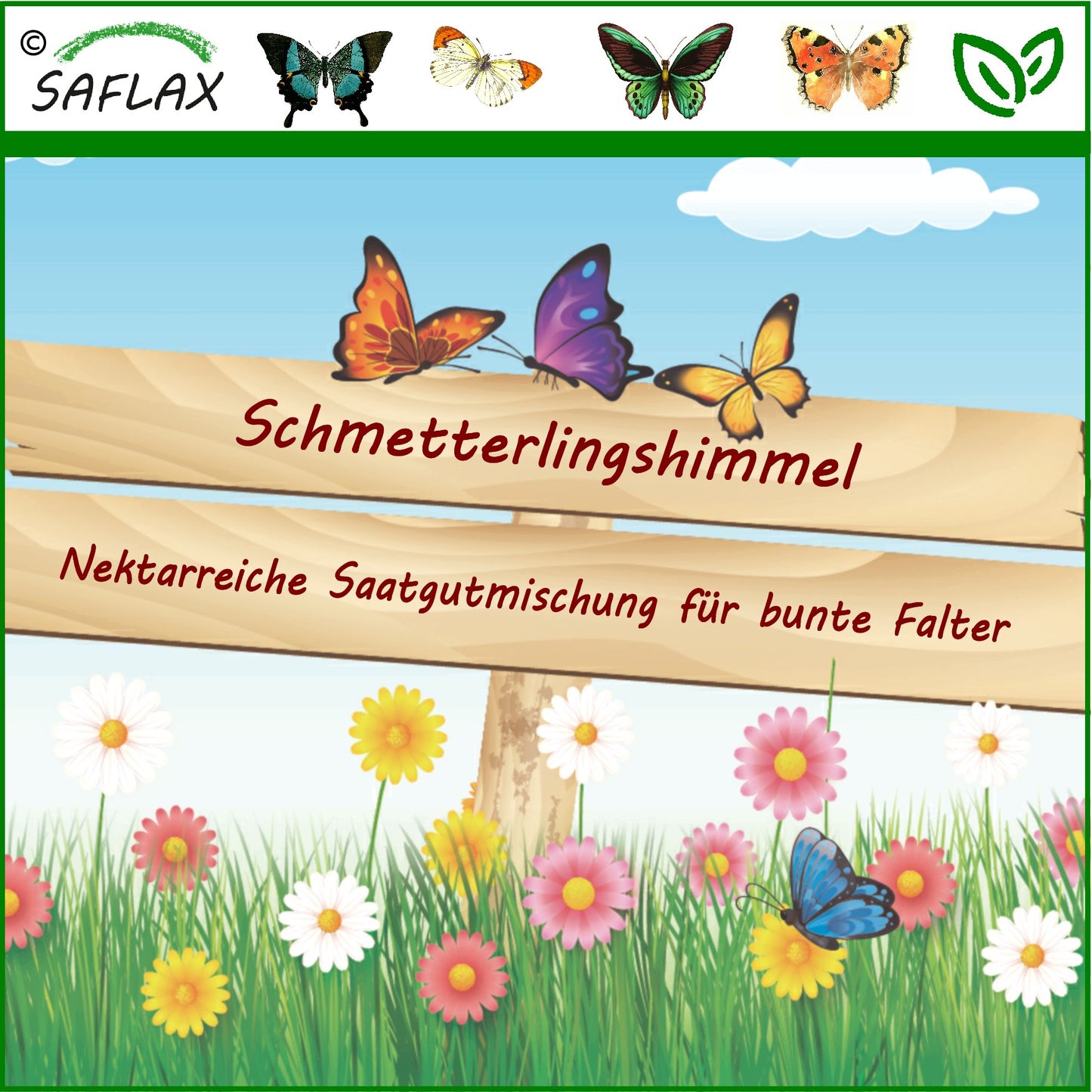  Schmetterlingswiese (100 G)