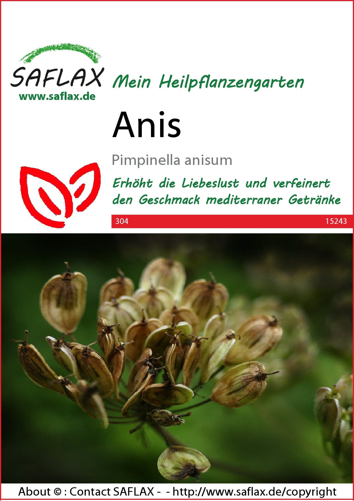  Anis