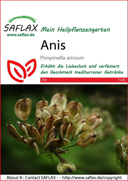  Anis