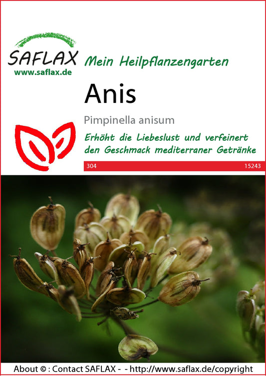  Anis