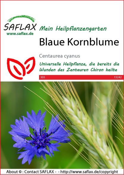  Blaue Kornblume