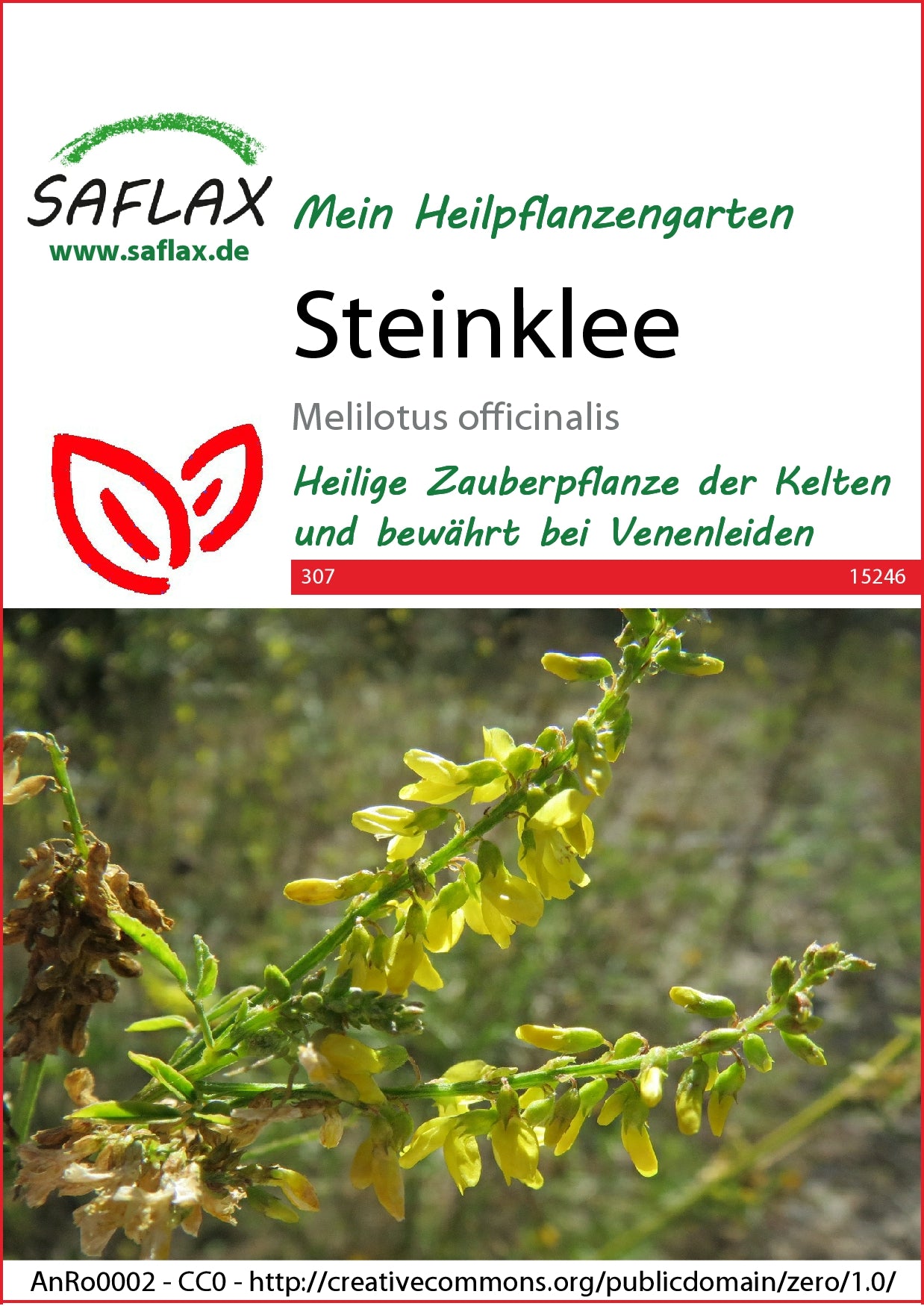  Steinklee
