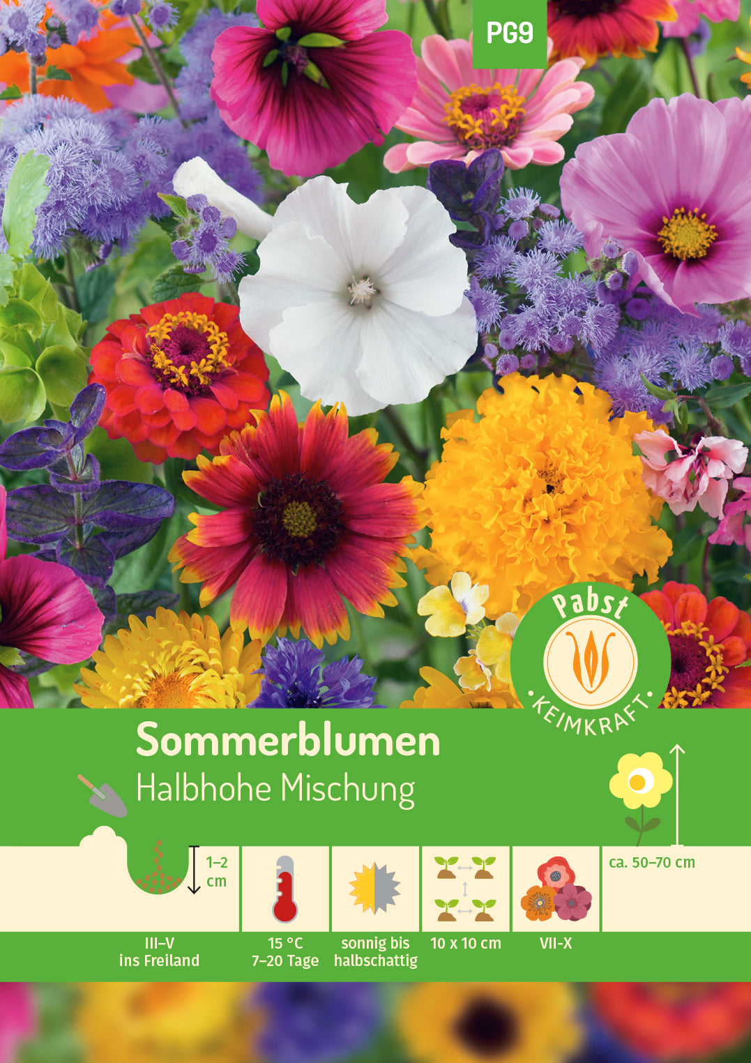  Sommerblumen Halbhohe Mischung