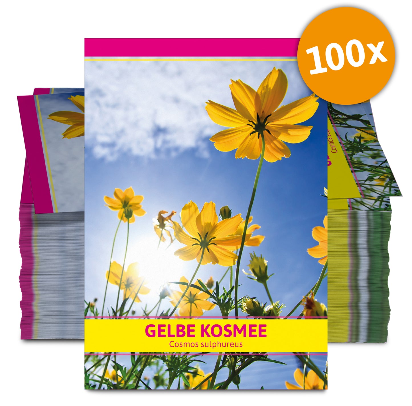  Gelbe Kosmee Für Werbezwecke (100 Tütchen)