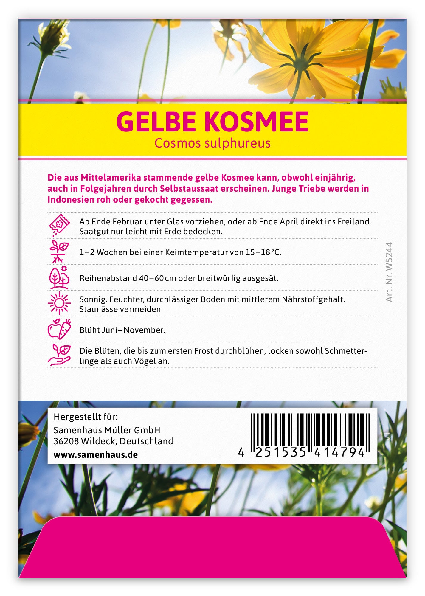  Gelbe Kosmee Für Werbezwecke (100 Tütchen)