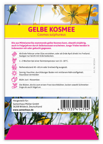  Gelbe Kosmee Für Werbezwecke (100 Tütchen)