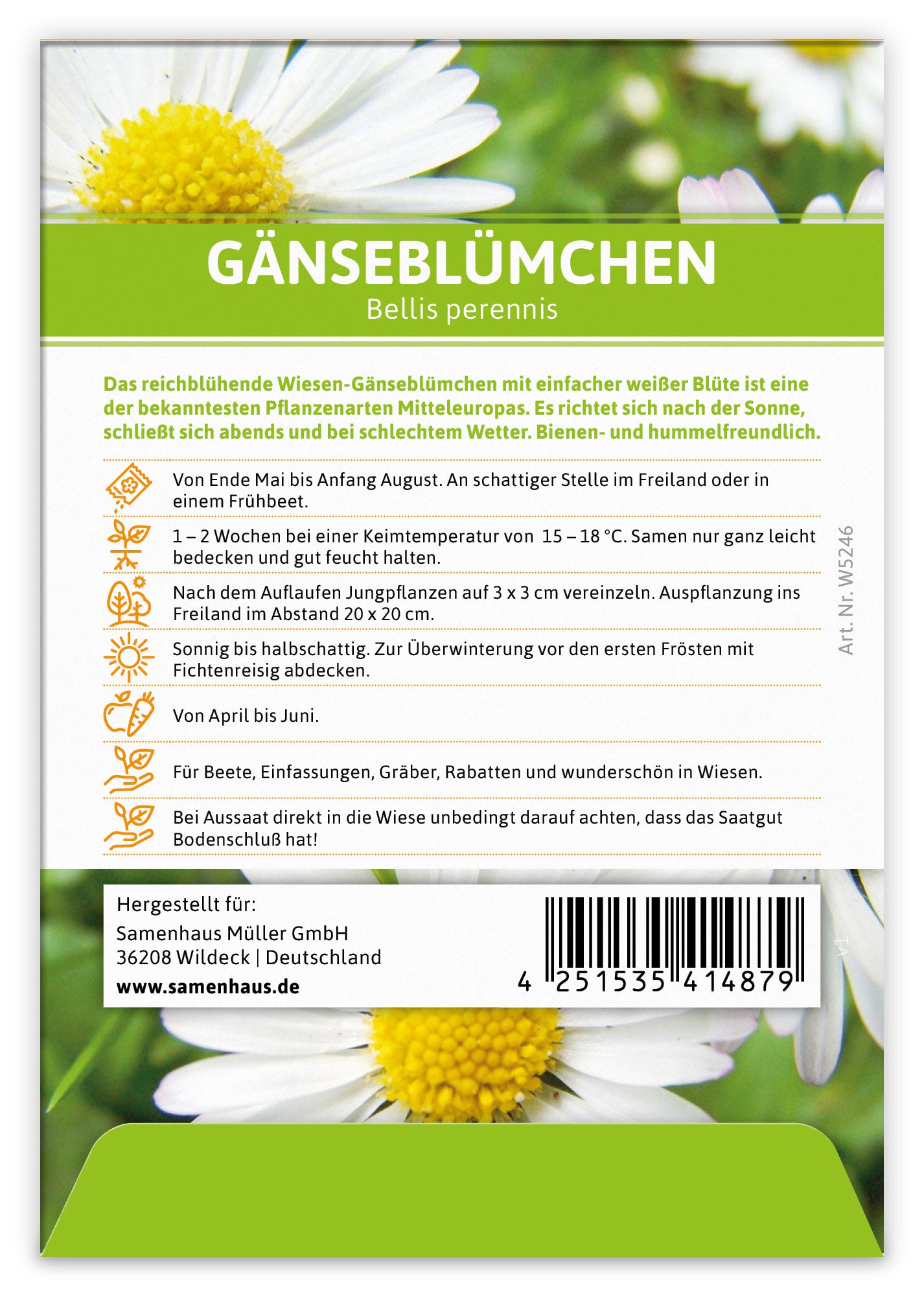  Gänseblümchen Für Werbezwecke (100 Tütchen)