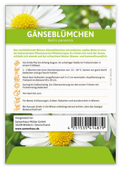  Gänseblümchen Für Werbezwecke (100 Tütchen)