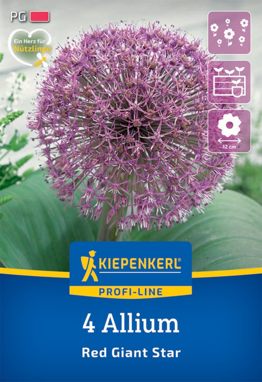 Zierlauch Red Giant Star (4 Stück)