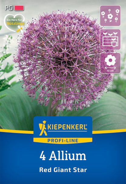  Zierlauch Red Giant Star (4 Stück)