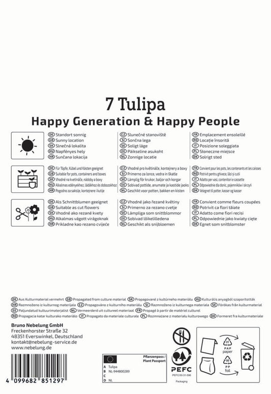  Triumph-Tulpen Happy Mix (7 Stück)