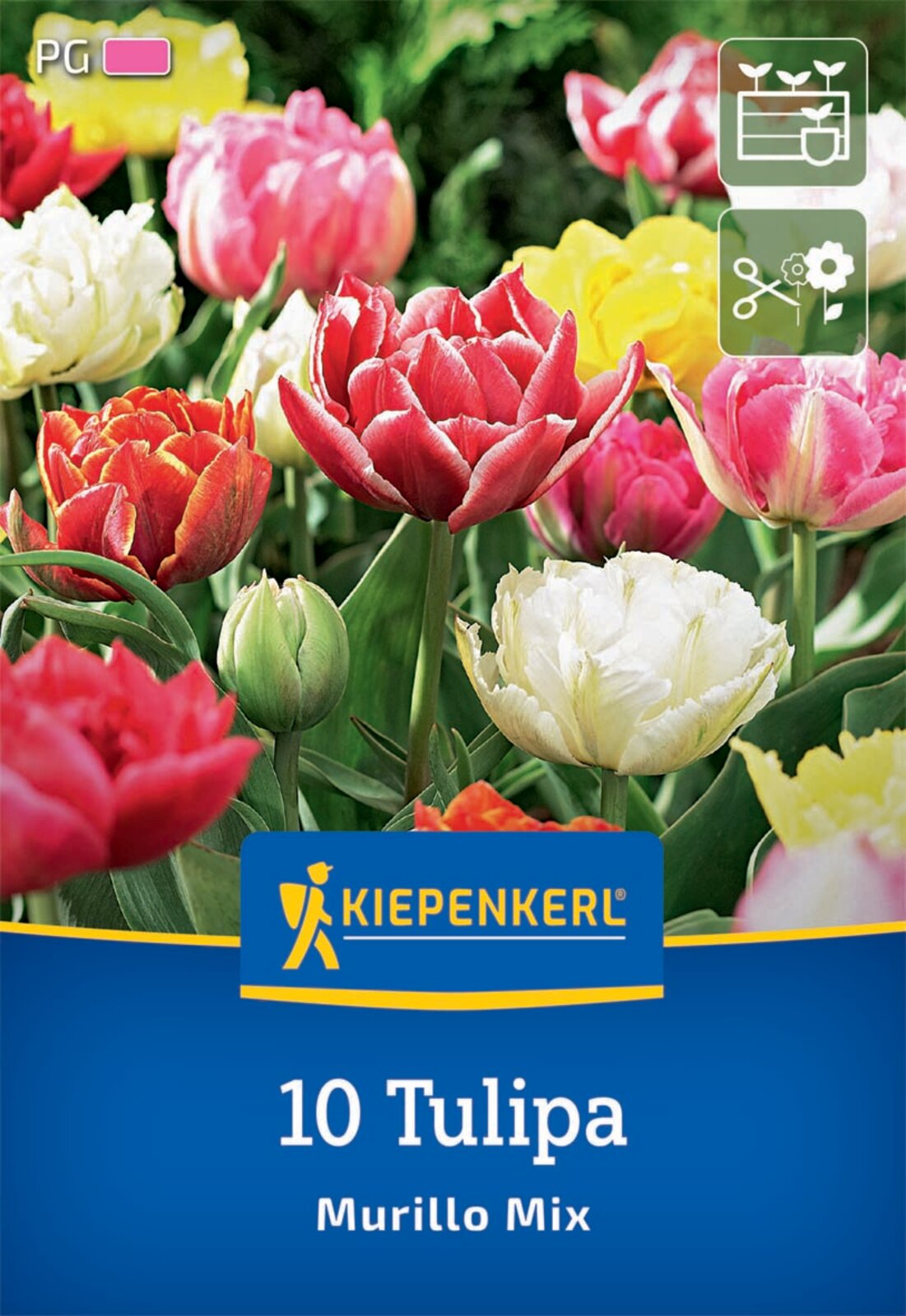  Gefüllte Frühe Tulpen Murillo Mix (10 Stück)
