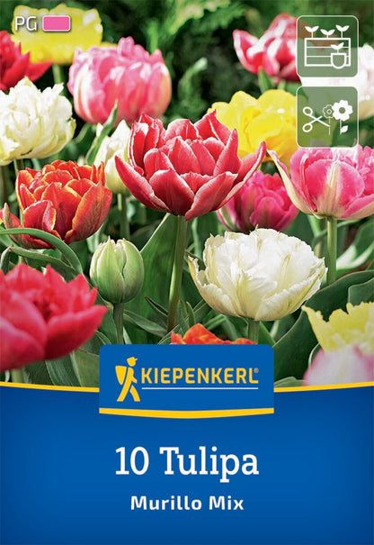  Gefüllte Frühe Tulpen Murillo Mix (10 Stück)