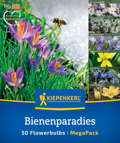  Mega-Pack Blumenzwiebelmischung Bienenparadies (50 Stück)