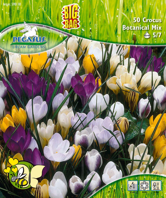 Pegasus Botanische Krokus Mischung (50 Stück)