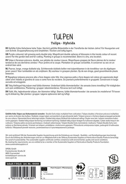  Tulpe Margarita (5 Stück)