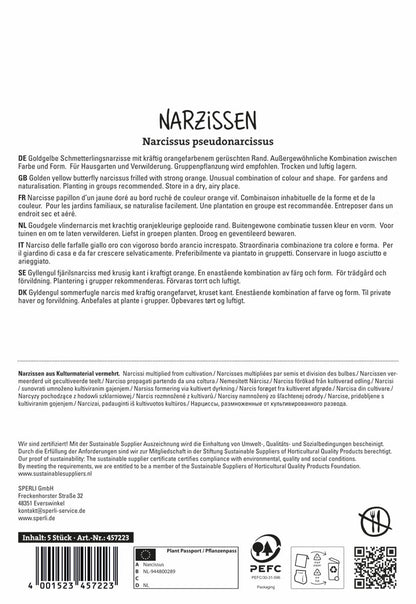  Narzisse Blazing Starlet (5 Stück)