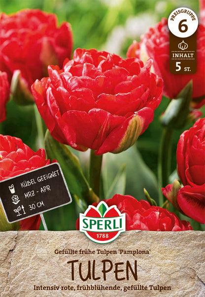  Tulpe Pamplona (5 Stück)