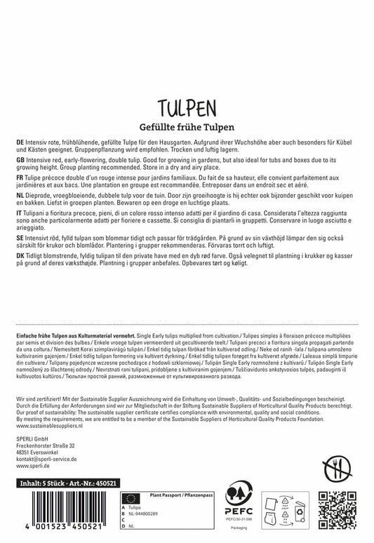  Tulpe Pamplona (5 Stück)