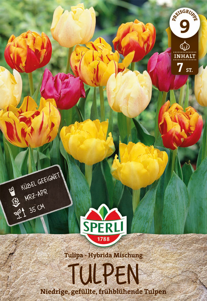 Tulpen Mischung (7 Stück)