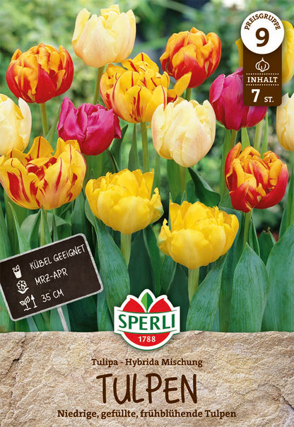  Tulpen Mischung (7 Stück)