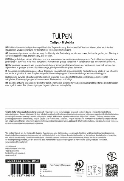  Tulpen Mischung (7 Stück)