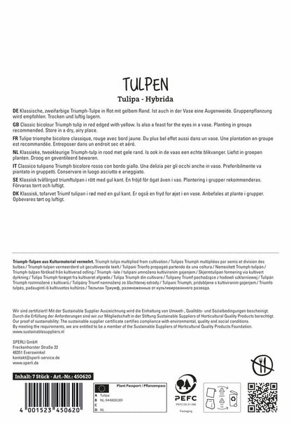  Tulpe Kees Nelis (7 Stück)