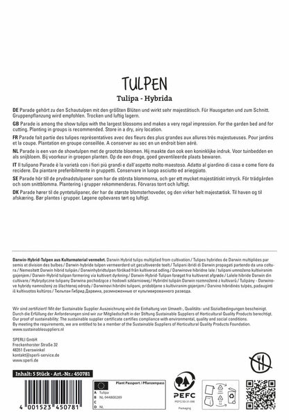  Tulpe Parade (5 Stück)