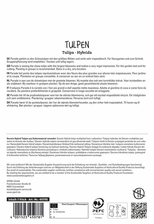  Tulpe Parade (5 Stück)