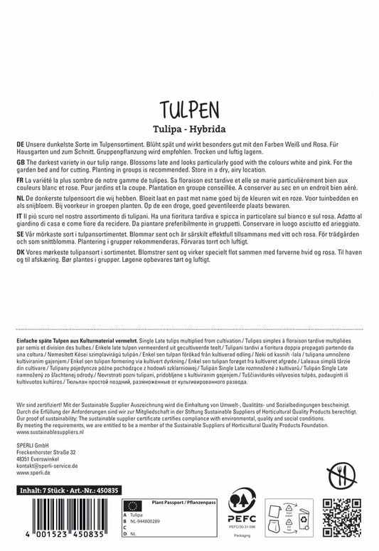  Tulpe Königin Der Nacht (7 Stück)