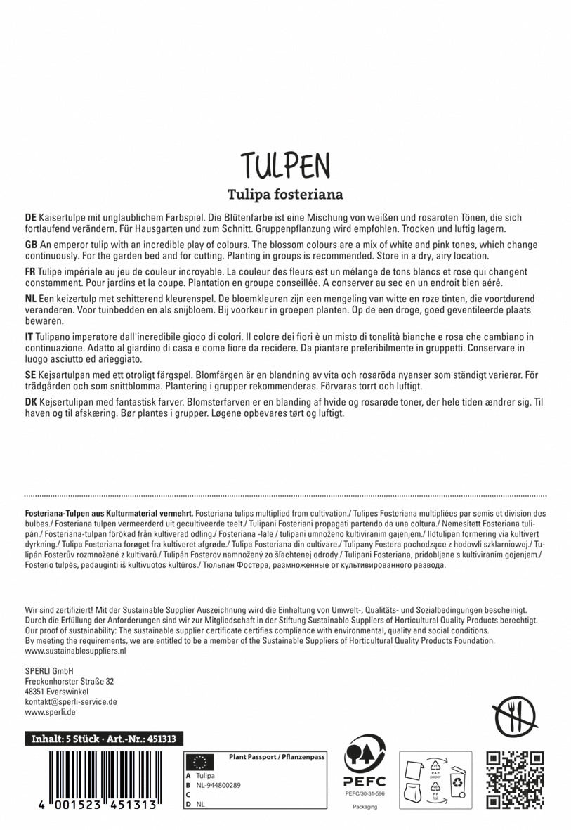  Fosteriana-Tulpe Flaming Purissima (5 Stück)